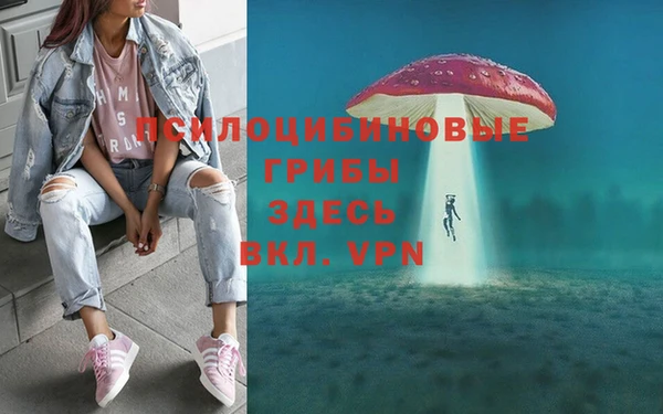 прущие крисы Алексин