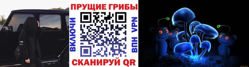 наркота ссылка на мегу сайт Псилоцибиновые грибы мицелий Болгар